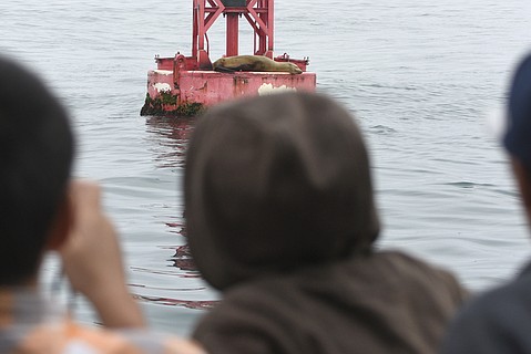 photo thumbnail