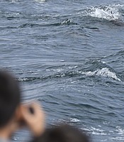 photo thumbnail