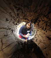 photo thumbnail