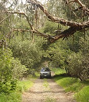 photo thumbnail