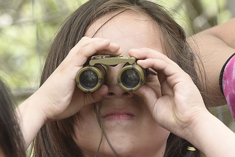 photo thumbnail