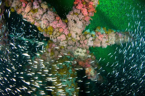 Photo detail