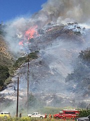 At 75 percent contained, the vegetation fire has burned 50 acres of land between Ventura and Ojai.