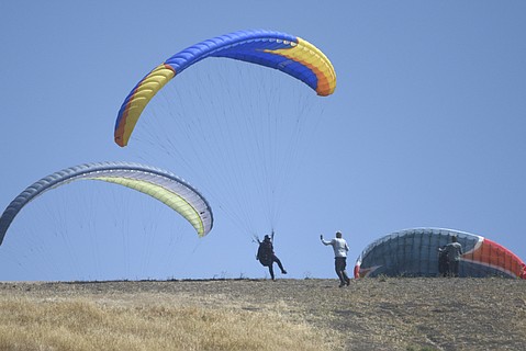 photo thumbnail