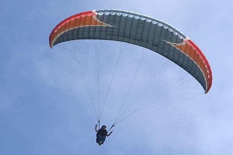 photo thumbnail