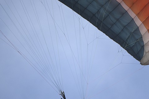 photo thumbnail