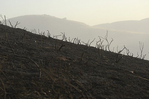 photo thumbnail