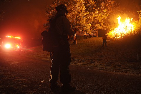 photo thumbnail