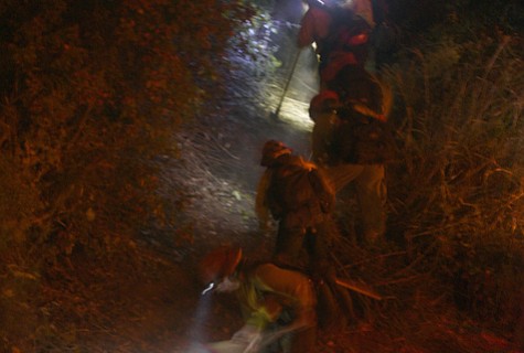 photo thumbnail