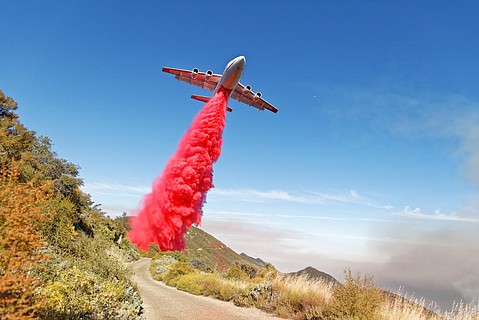 photo thumbnail