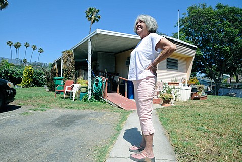 photo thumbnail