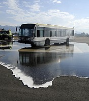 photo thumbnail