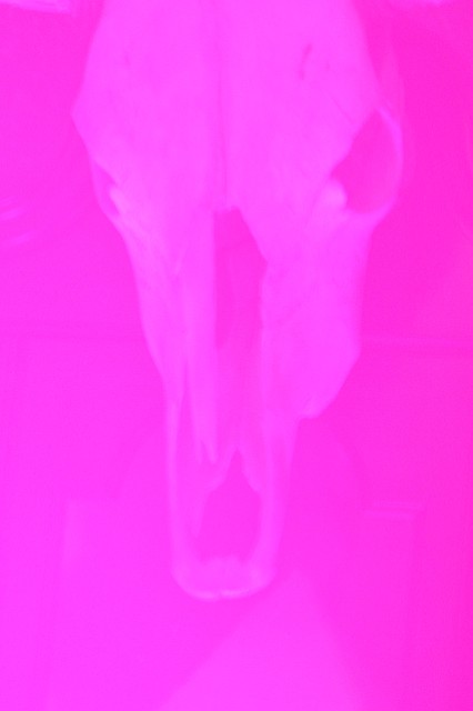 Photo detail