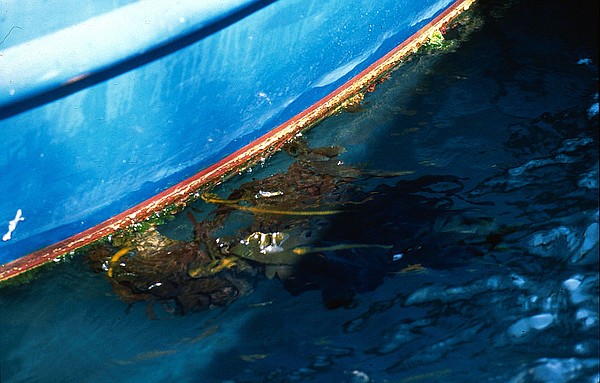 Photo detail