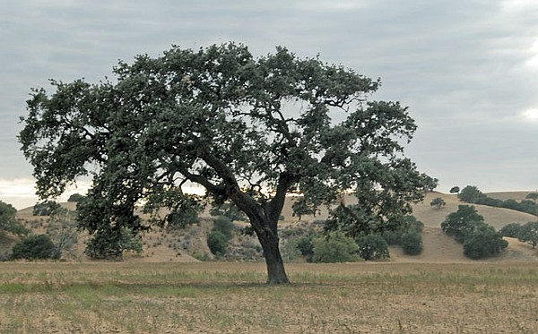 Photo detail