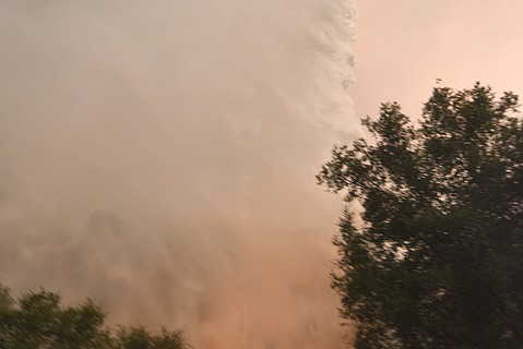 photo thumbnail