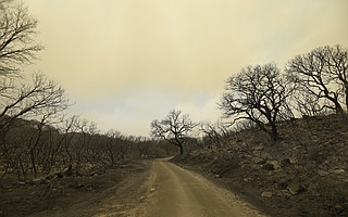 Rancho Alegre after the Whittier Fire Sunday, July 9, 2017.