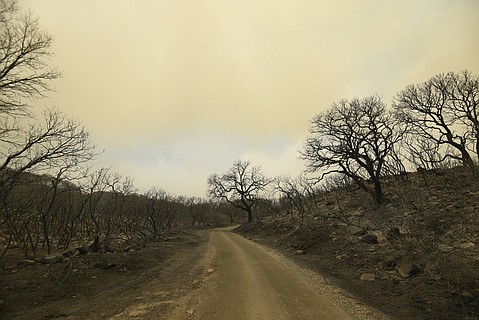 photo thumbnail
