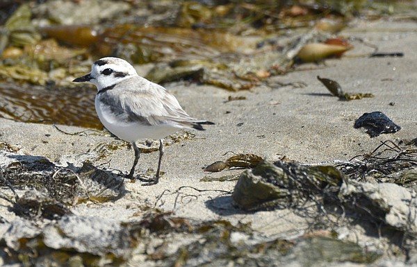 Photo detail