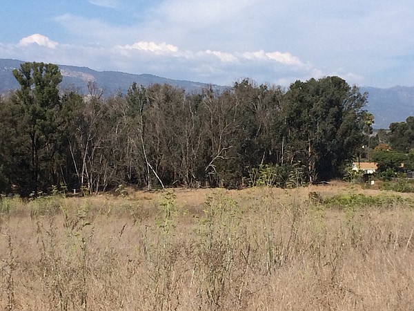 Photo detail