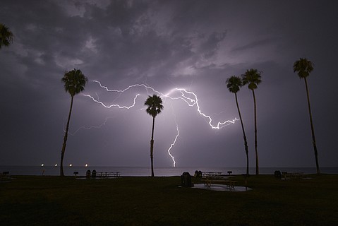 photo thumbnail
