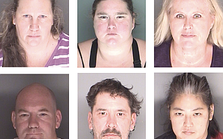 From top left: Lynn Hogan, Christina Huffman, and Michele Lavin. From bottom left: Michael Anzivino, Vincent Anzivino, and Leanna Harada.
Wendy Anzivino Puchli, Richard Kaplinski, and Michael Elliott are not pictured.