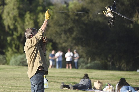 photo thumbnail
