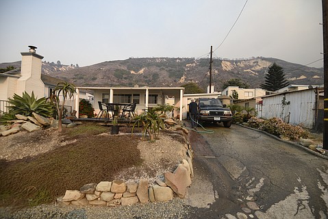 photo thumbnail