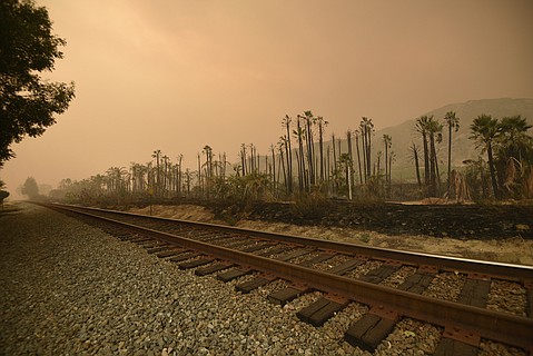 photo thumbnail