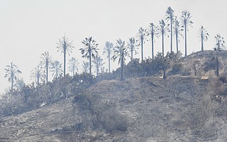 Following the Thomas Fire, scorched hills were left with little vegetation from Highway 150 through much of Montecito.