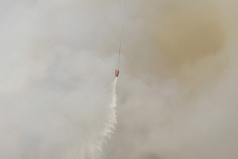 photo thumbnail
