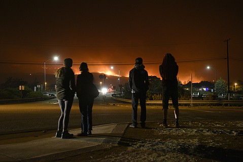photo thumbnail