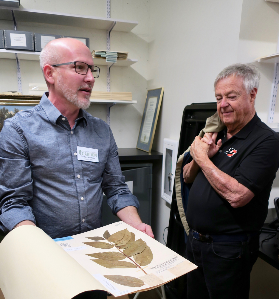 Executive Director Steve Windhager shares a spicebush specimen from 1895 in the Herbarium. Executive Director Steve Windhager shares a spicebush specimen from 1895 in the Herbarium.