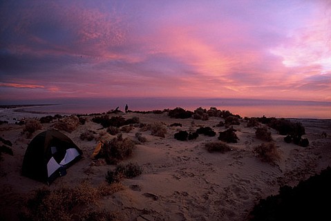 photo thumbnail