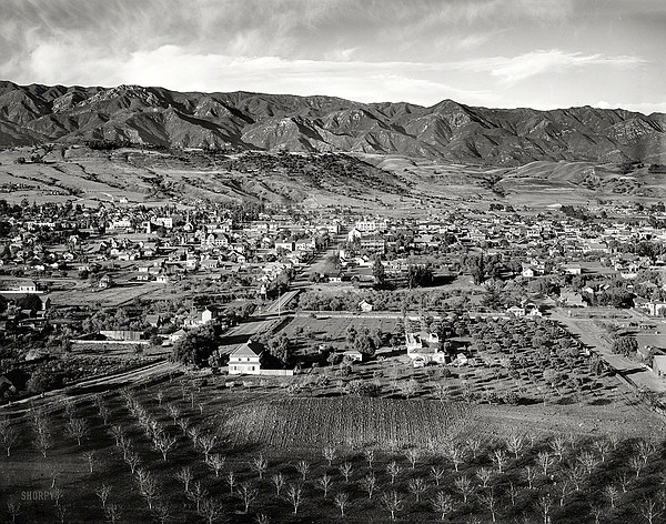 Photo detail