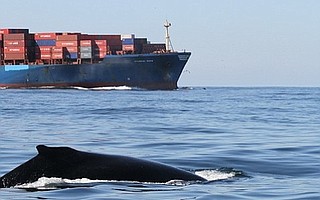 The Santa Barbara Channel