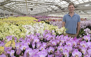 Toine Overgaag at Westerlay Orchids