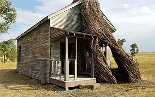 Daydreams by Patrick Dougherty
