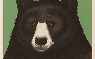 “Black Bear” by Beth Van Hoesen