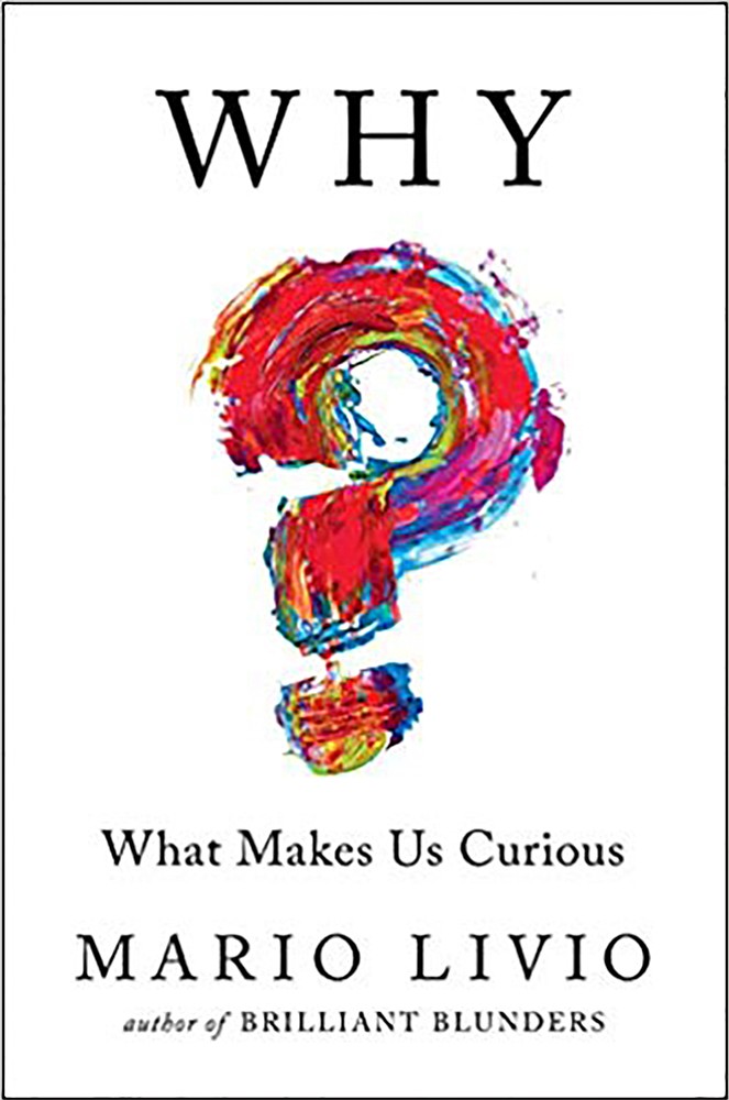 ‘Why? What Makes Us Curious’ Is A Gem Of A Book