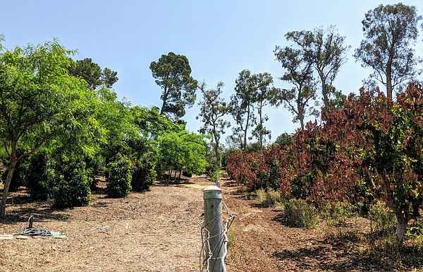 Photo detail