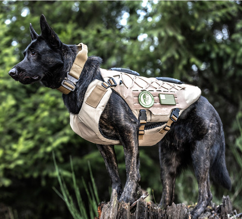 Police Dogs Getting Bulletproof Vests