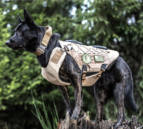bulletproof dog vest bulletproof dog vest