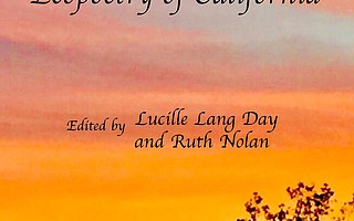 <em>Fire and Rain: Ecopoetry of California</em>