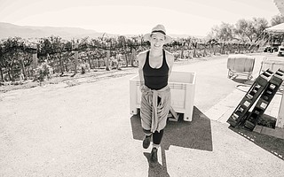 “It’s the only other dream I’ve ever had, other than music and trying to have a happy family,” said Alecia "P!nk" Moore of making her Two Wolves wine.