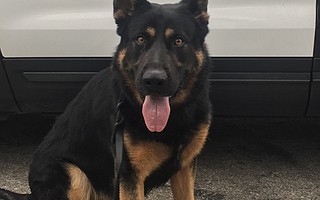 Sheriff’s K-9 Duke