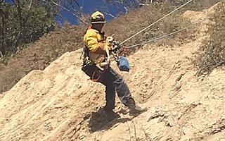 A firefighter was lowered down a cliff below the Douglas Family Preserve on Sunday morning to rescue a dog.