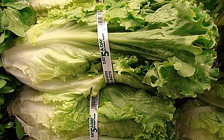 Red leaf lettuce, green leaf lettuce, and cauliflower harvested at Adam Bros. Farming from November 27-30, 2018 is being recalled.
