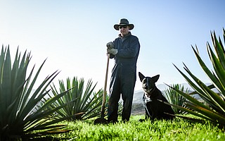 Neither much of a farmer nor drinker, La Paloma Ranch manager John Kleinwachter, (pictured with Vinnie the dog) finds himself as one of California’s first jimadors, the Mexican name for agave harvesters.