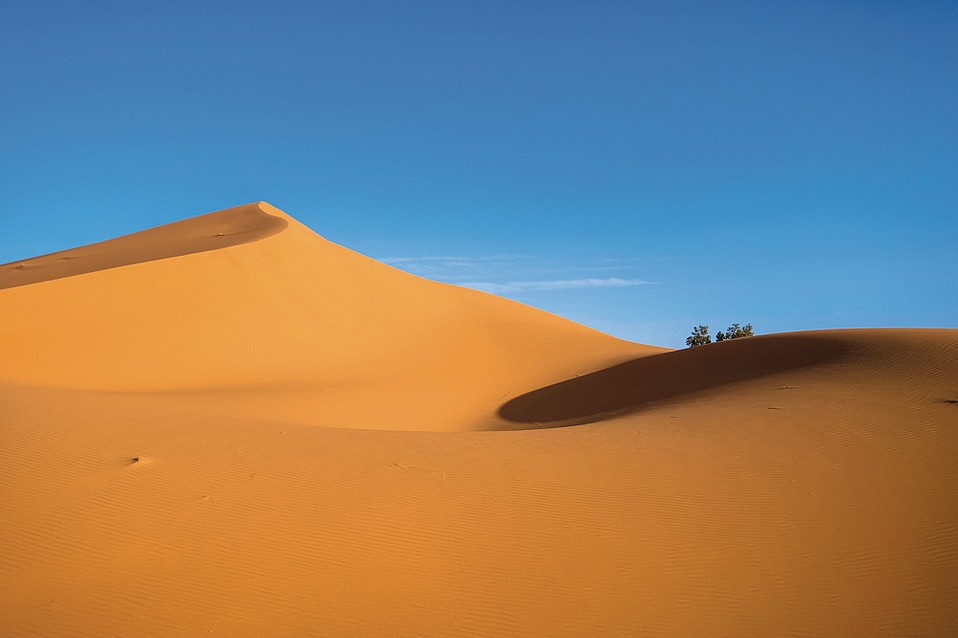 Greening The Sahara